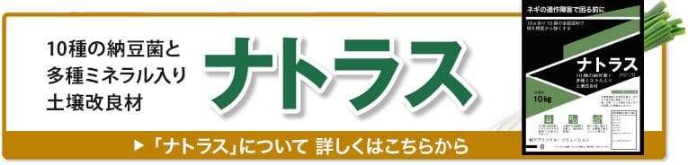 ナトラス（旧「納豆菌Ⅹ」）について　詳しくはこちらから